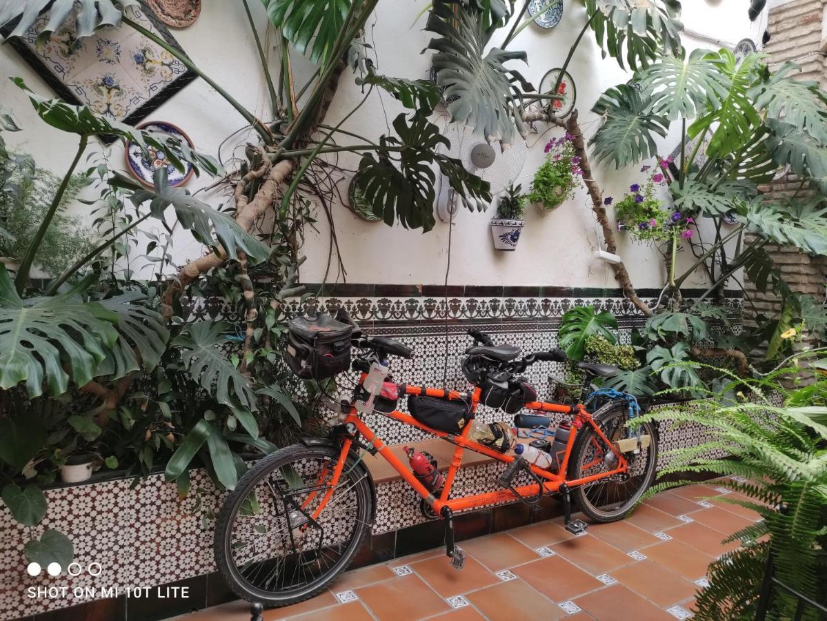 Pension Los Arcos Cordoba Luaran gambar