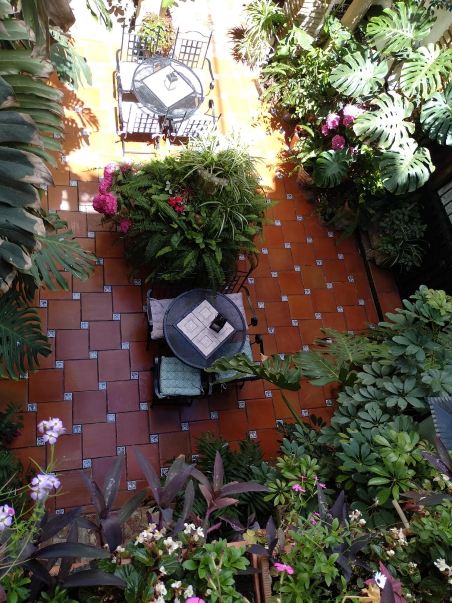 Pension Los Arcos Cordoba Luaran gambar
