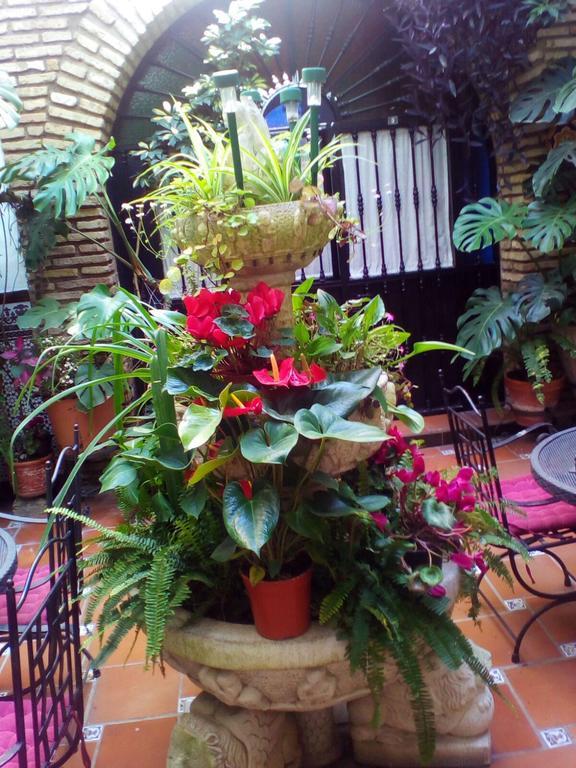 Pension Los Arcos Cordoba Luaran gambar