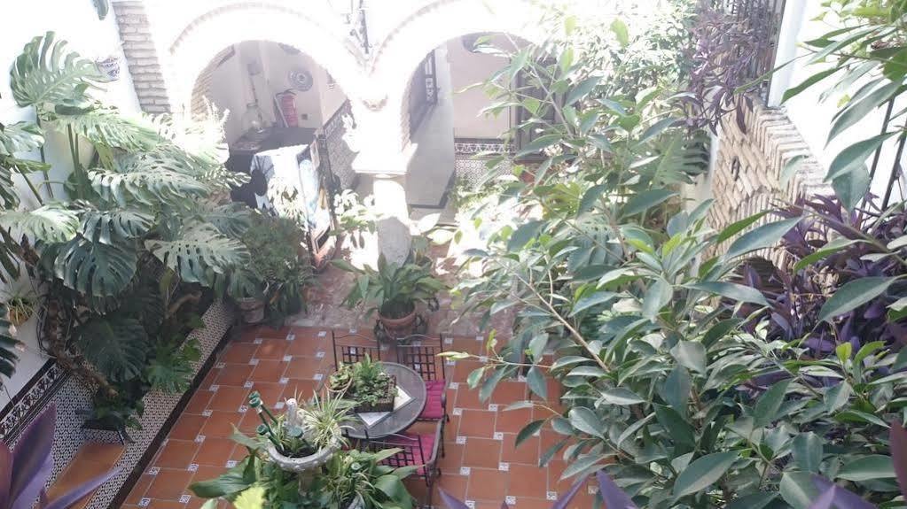 Pension Los Arcos Cordoba Luaran gambar