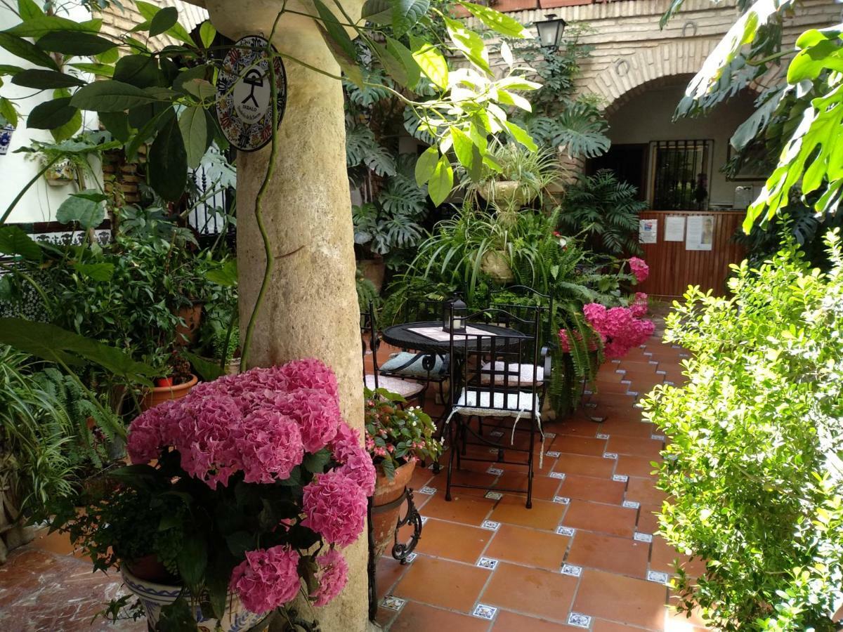 Pension Los Arcos Cordoba Luaran gambar