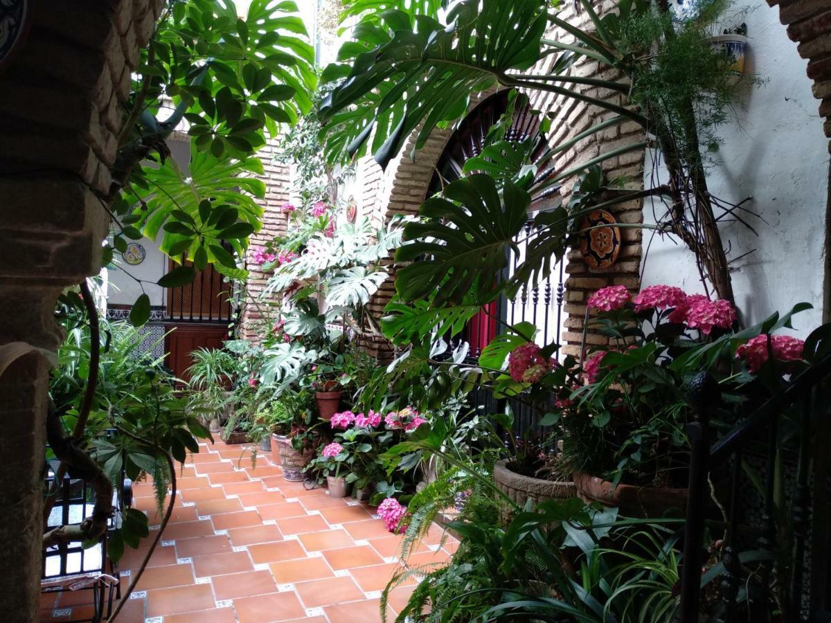 Pension Los Arcos Cordoba Luaran gambar